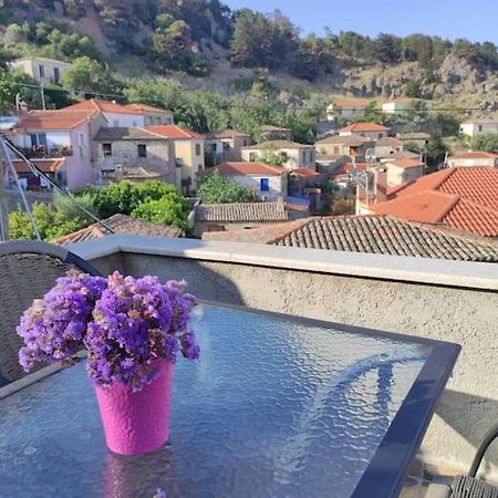 Villa Petroula Kontias エクステリア 写真