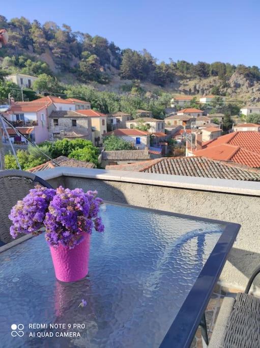 Villa Petroula Kontias エクステリア 写真